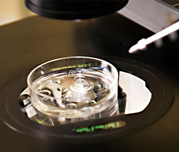 Best Fertility Centre in Urapakkam